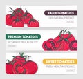 Bundle of horizontal web banner templates with sliced and whole red tomatoes and place for text. Modern vector