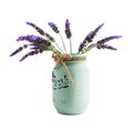 Bundle of lavender Royalty Free Stock Photo