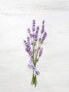 Bundle of lavender. Royalty Free Stock Photo