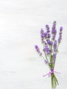 Bundle of lavender on old wooden board painted white Royalty Free Stock Photo