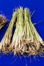 Bundle of lemon grass Royalty Free Stock Photo