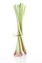 Bundle of lemon grass on white background Royalty Free Stock Photo