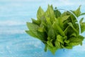 Bundle of mint in small bucket on blue wooden background. Copy sp