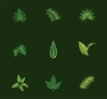 bundle of nine leaves plants green nature icons