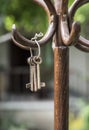 Bundle of old keys on a hanger Royalty Free Stock Photo