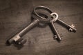 A bundle old vintage keys Royalty Free Stock Photo