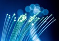 Bundle of optical fibers with lights in the ends. Blue background Royalty Free Stock Photo