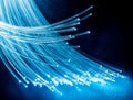 Bundle of optical fibers with lights in the ends. Blue background Royalty Free Stock Photo