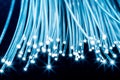 Bundle of optical fibers with lights in the ends. Blue background