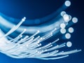 Bundle of optical fibers with lights in the ends. Blue background Royalty Free Stock Photo