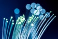 Bundle of optical fibers with lights in the ends. Blue background Royalty Free Stock Photo