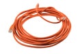 a bundle of orange ethernet cable