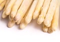 Bundle of organic fresh summer white asparagus