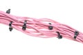 Bundle of pink cables with black cable ties Royalty Free Stock Photo