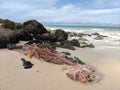 Bundle of Plastic Fishing Nets and lines washes up on Waimanalo Beach Royalty Free Stock Photo