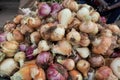 Bundle of purple onions bound together for sale on the market