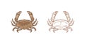 Bundle of realistic colored and monochrome drawings of dungeness crab. Aquatic animal or marine shellfish isolated on Royalty Free Stock Photo