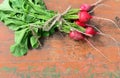 Bundle of red radish with brown packthread Royalty Free Stock Photo