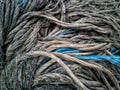 Bundle of Ropes Closeup
