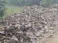 Bundle of Teak leafs (Saaguan ke patte ka dher)