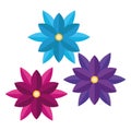 bundle of three flowers colors icons