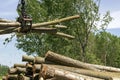 Bundle Of Tree Logs In A Crane Grabber Royalty Free Stock Photo