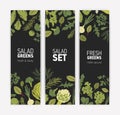 Bundle of vertical banner templates with fresh tasty salad leaves and spice herbs on black background. Vector