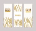 Bundle of vertical banner templates with wheat ears on white background. Baked products, bread, bakery, bakeshop or