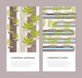 Bundle of vertical banners with plants growing in pots with mineral solution and place for text. Hydroponic gardening Royalty Free Stock Photo