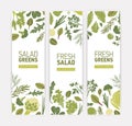 Bundle of vertical web banner templates with green vegetables, fresh salad leaves and spice herbs on white background