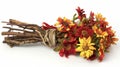 A bundle of vibrant red and yellow flowers are tied together with a thin strip of bark. These flowers are known for