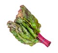 Bundle of wet beet green leaves chard cutout Royalty Free Stock Photo