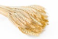 Bundle wheat isolated on white Royalty Free Stock Photo