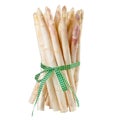 Bundle of white asparagus with green ribbon. Asparagus isolated on white background Royalty Free Stock Photo