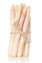 Bundle of white asparagus shoots, upright standing Royalty Free Stock Photo