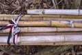 A bundle of withered bamboo poles. Royalty Free Stock Photo