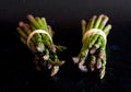 Bundled asparagus Royalty Free Stock Photo