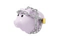 Bundled Piggy Bank ,Lock Piggy Bank . Royalty Free Stock Photo