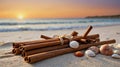 Romantic Cinnamon Sticks and Seashells at Sunset Beach Royalty Free Stock Photo