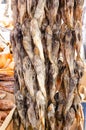 Bundles of dried gobies hanging on a market counter Royalty Free Stock Photo