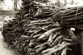 Bundles of Firewood Royalty Free Stock Photo