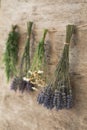 Bundles of flavoured herbs drying on the wall. Lavender, chamomile, rosemary