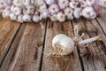 Bundles of fresh garlic dried on vintage wooden table