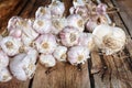 Bundles of fresh garlic dried on vintage wooden table