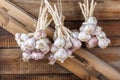 Bundles of fresh garlic dried on vintage wooden wall