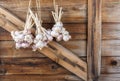 Bundles of fresh garlic dried on vintage wooden wall
