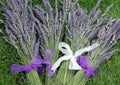 Bundles of Freshly Cut Lavender