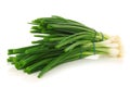 Bundles of green onions