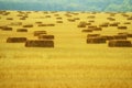 Bundles of hay on the retracted the field. Royalty Free Stock Photo