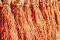 Bundles of newly harvested rice drying in the sun